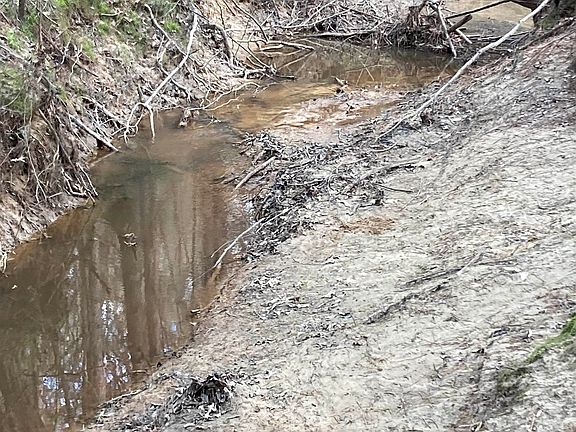3rd image of 336 County Road 3992