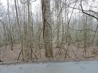 Tbd McInturff Springs Rd, Erwin, TN 37650