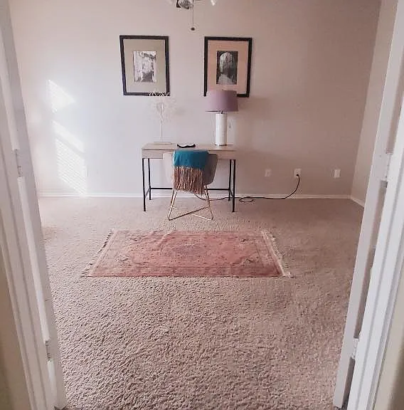 2527 Liza Ct — Photo 6