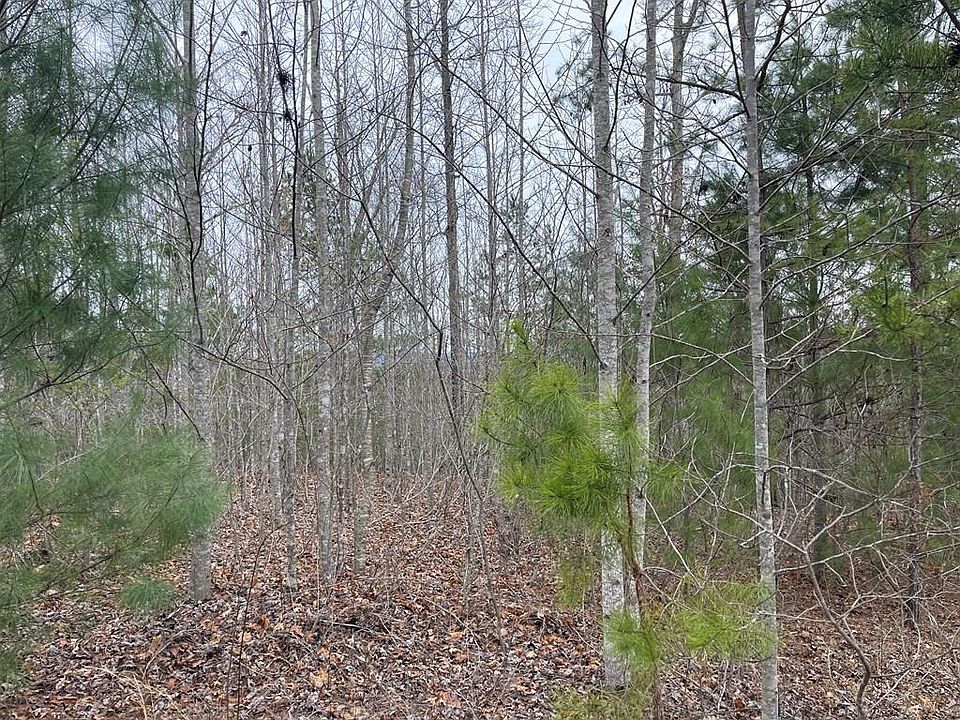 1st image of 56 & 58 Paw Paw Trl
