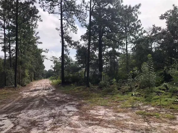 Lot 228 PARK FOREST BOULEVARD LOT 228, MOUNT DORA, FL 32757