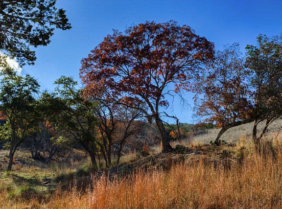 4th image of 190 Enchanted Valley Dr