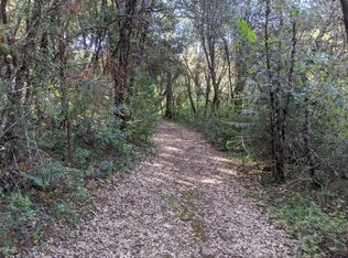 17966 Hale Rd, Volcano, CA 95689