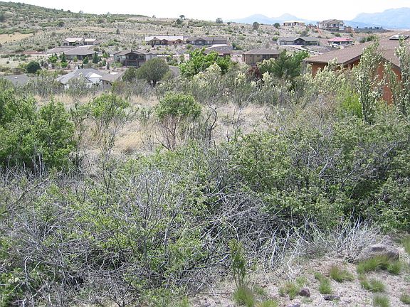 4th image of 1036 Rough Diamond Dr