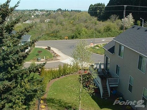 View from deck