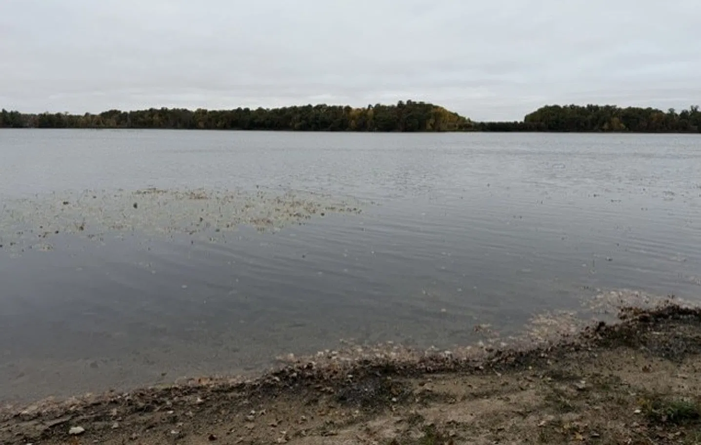 2 bedroom house on Dade Lake — Photo 3