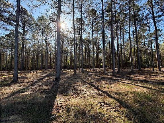 3rd image of Tatoo Rd