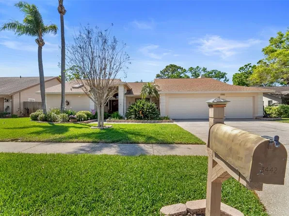 3442 Beech Trl, Clearwater, FL 33761