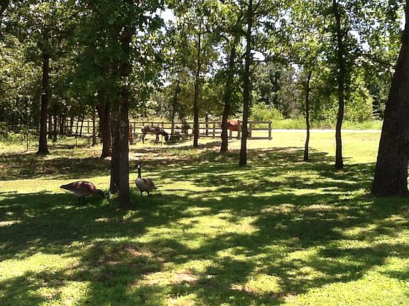 Love there's room for horses