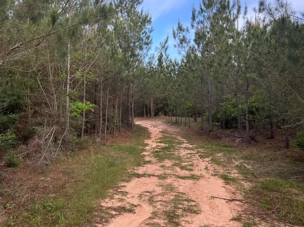 County Road 230, Shubuta, MS 39360