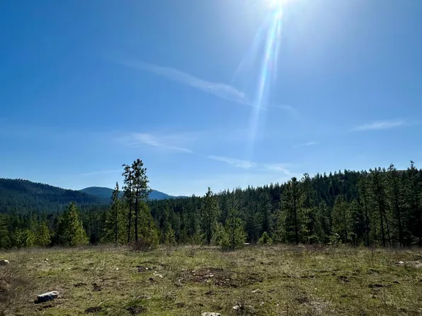 1059 Scotia Rd, Newport, WA 99156