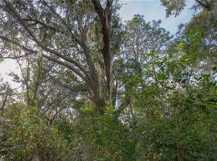 0 Pelote Cemetery Rd, Lithia, FL 33547