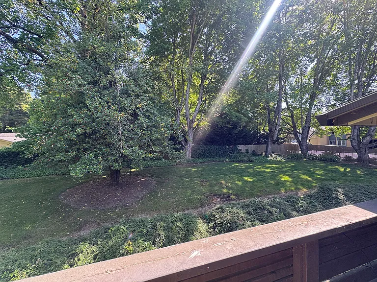 Meridian Village — Photo 48