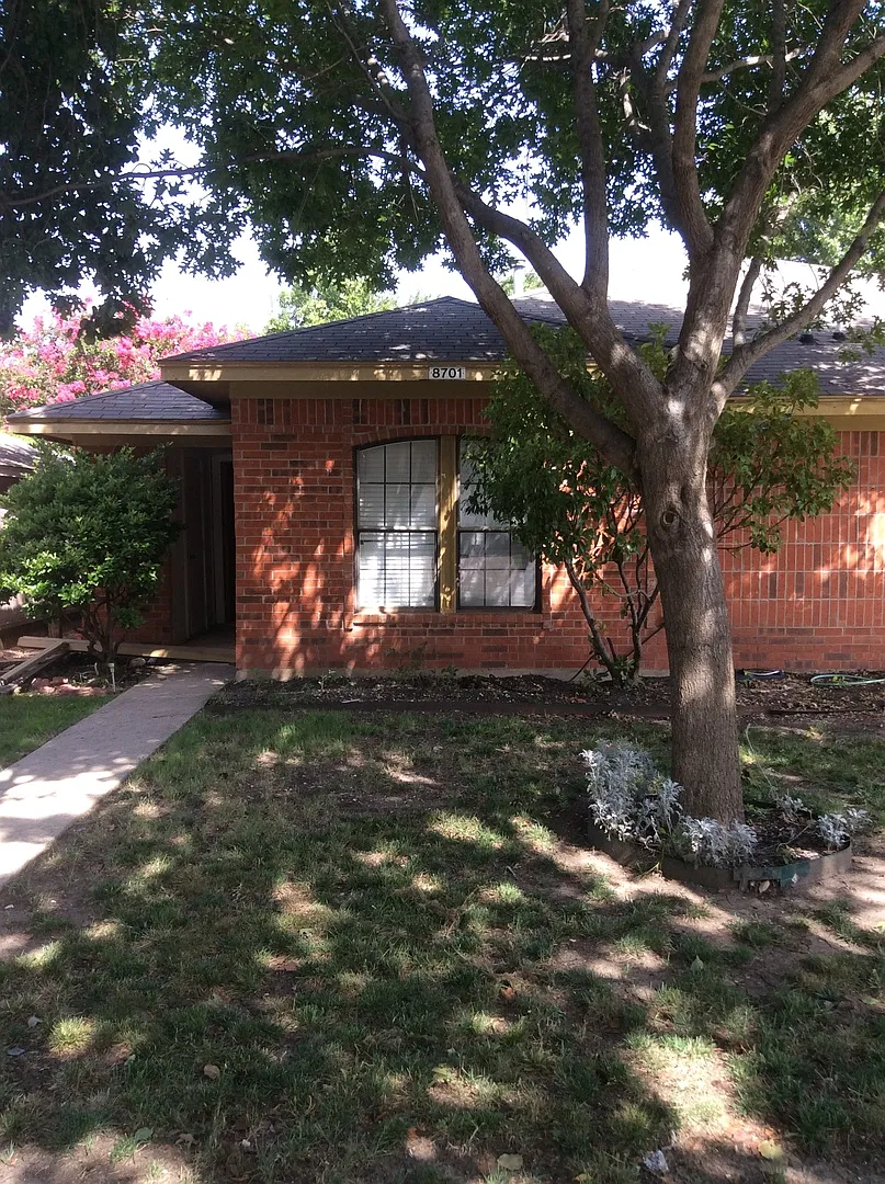 Holly Street — Photo 1