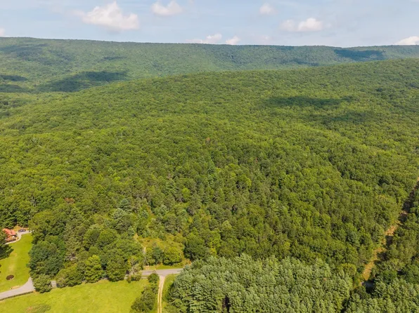 0 Muddy Run Rd, Williamsville, VA 24487