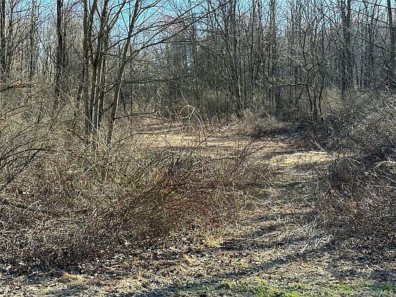 3rd image of Schoolhouse Road
