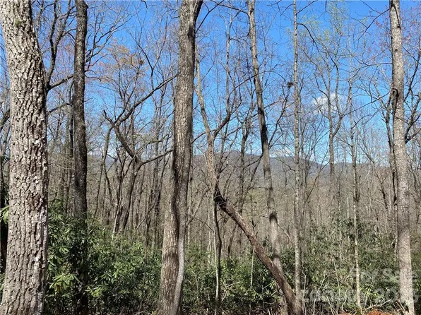 Lytle Mountain Rd #9, Marion, NC 28752