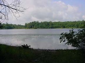 Townline Lake