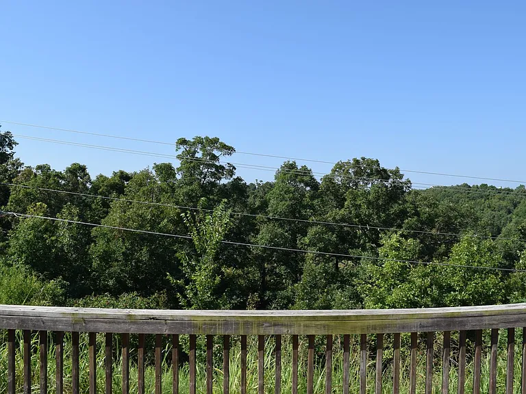 318 Carmel Valley Way — Photo 28