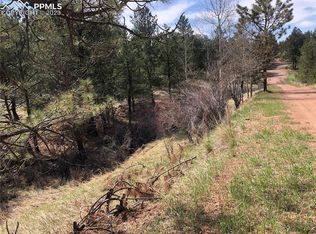242 Arrowhead Rd, Florissant, CO 80816