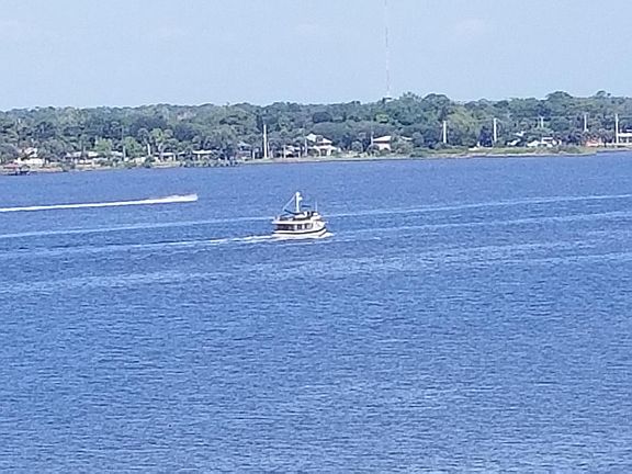 Overlooking the river