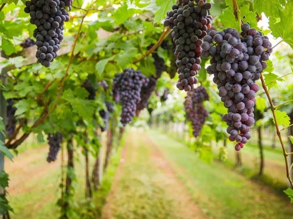 (undisclosed Address), Acampo, CA 95220