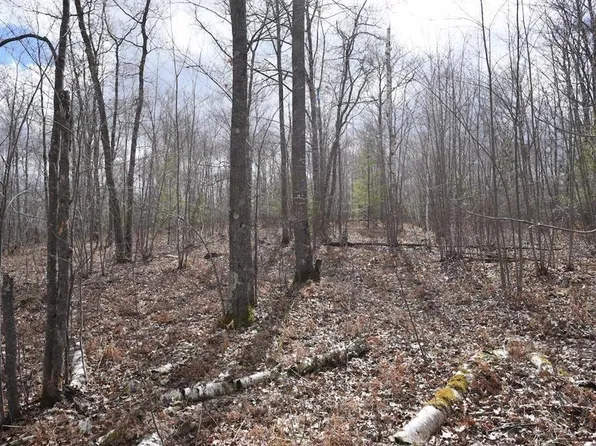 0000 S Long Lake Rd, Iron River, WI 54847