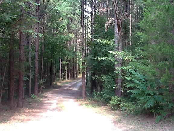 3rd image of 4365 Steger Creek Ct