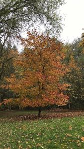 20300 NE Williamson Rd, Newberg, OR, 97132