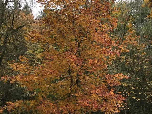 20300 NE Williamson Rd, Newberg, OR 97132