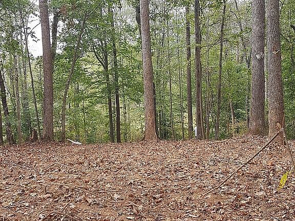4th image of 276 Bluegill Ln