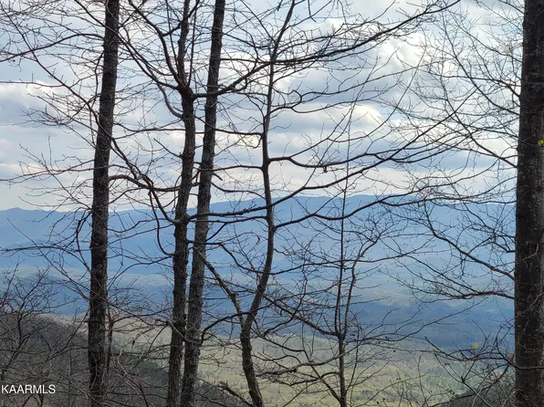 LOT 59 Silverbell Dr, Sevierville, TN 37876