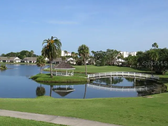 2625 Terra Ceia Bay Blvd #802 — Photo 26