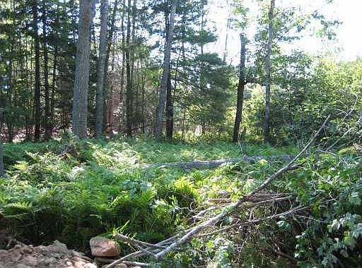 2nd image of 0 Parker Point Road