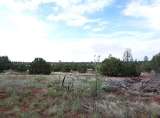 7072 Bustin Dutch Trl, Show Low, AZ 85901