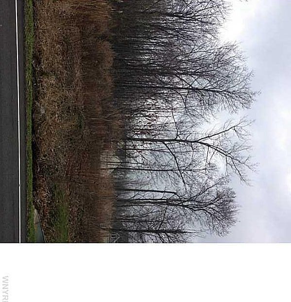 2nd image of 1760 Lakeview Rd