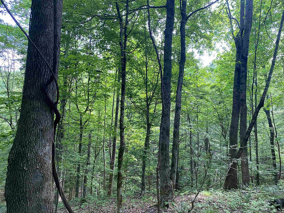 16th image of this home