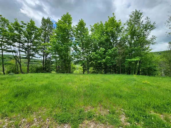 77 Sperry Young Rd, Westfield, PA 16950