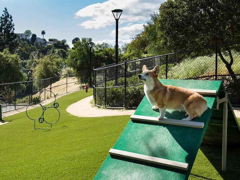 WAG Pet Park