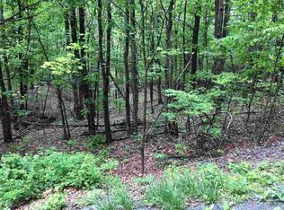 0 Clark Rd, Basye, VA 22810