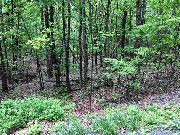 0 Clark Rd, Basye, VA 22810