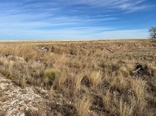 0 Fm 298, Muleshoe, TX 79347