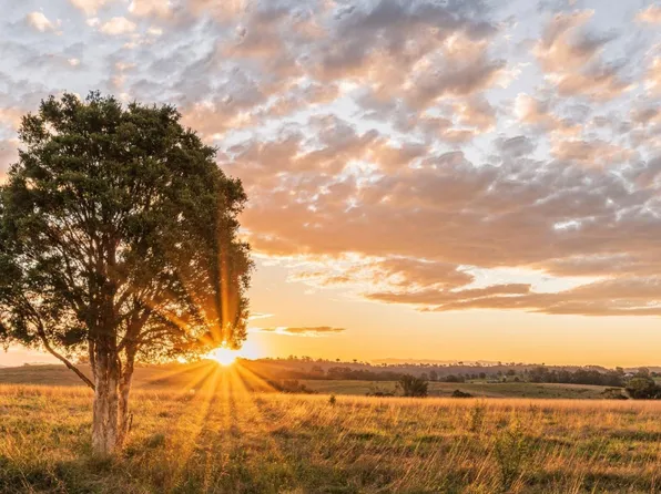 14-433 Rolling Hill Dr, Cat Spring, TX 78933