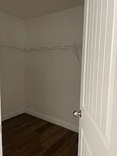 402 Albus Dr — Photo 6