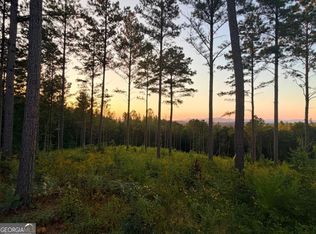 0 Lacey Springs Ln #64, Ellijay, GA 30540