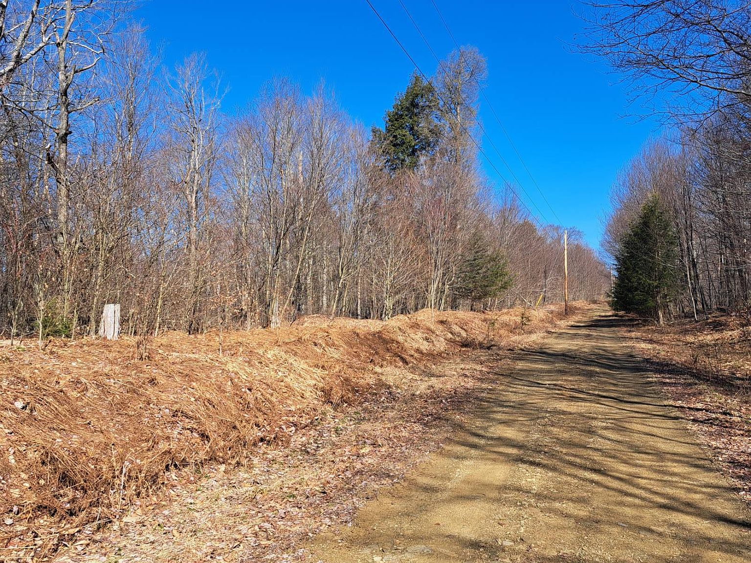 21 Doe Run Rd, Galeton, PA 16922 MLS 11239615 Zillow