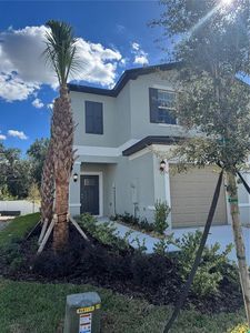 36102 Risa Michele St, Zephyrhills, FL, 33541