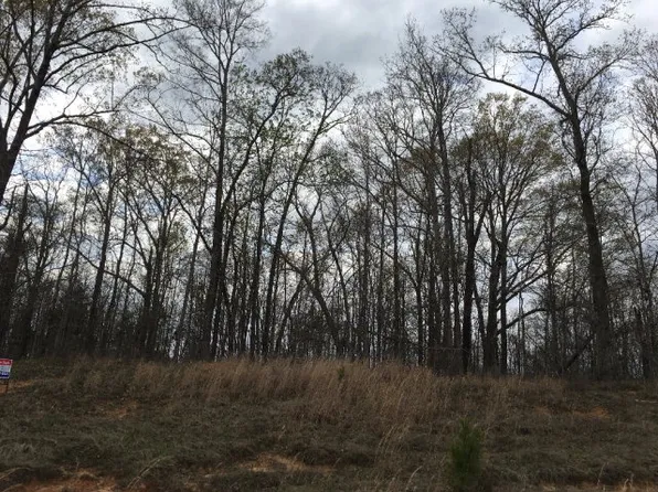351 Winners Cir, Oxford, MS 38655