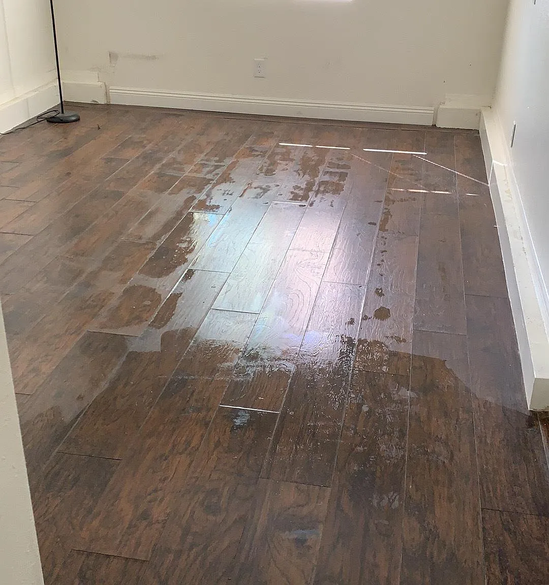 13668 Amberview Pl — Photo 1