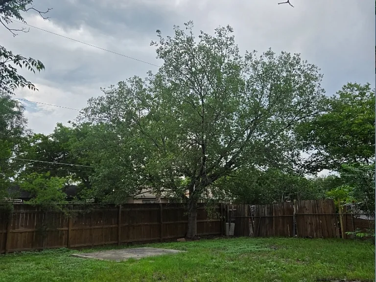 4259 Summer Sun Ln — Photo 16
